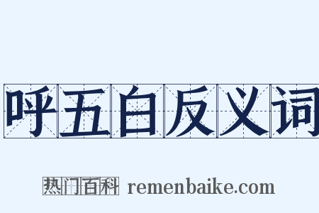 呼五白反义词是什么意思的图片